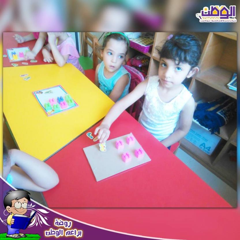 طلاب ال kg1 والتعرف عالحيوانات والعد بالمكعبات