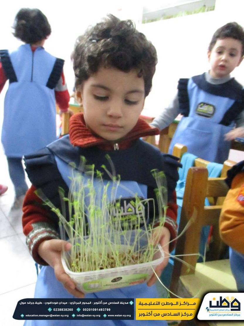 دروس هادفة في الأعمال المزارع الصغير مع أطفالنا روضة براعم الوطن ... 